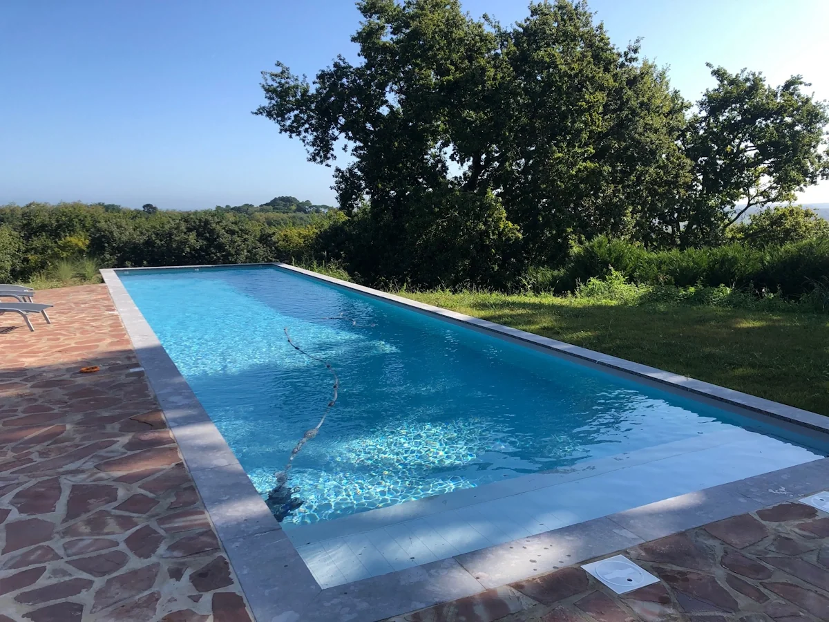 Piscine rectangulaire entourée de pierre et de pelouse dans un jardin arboré