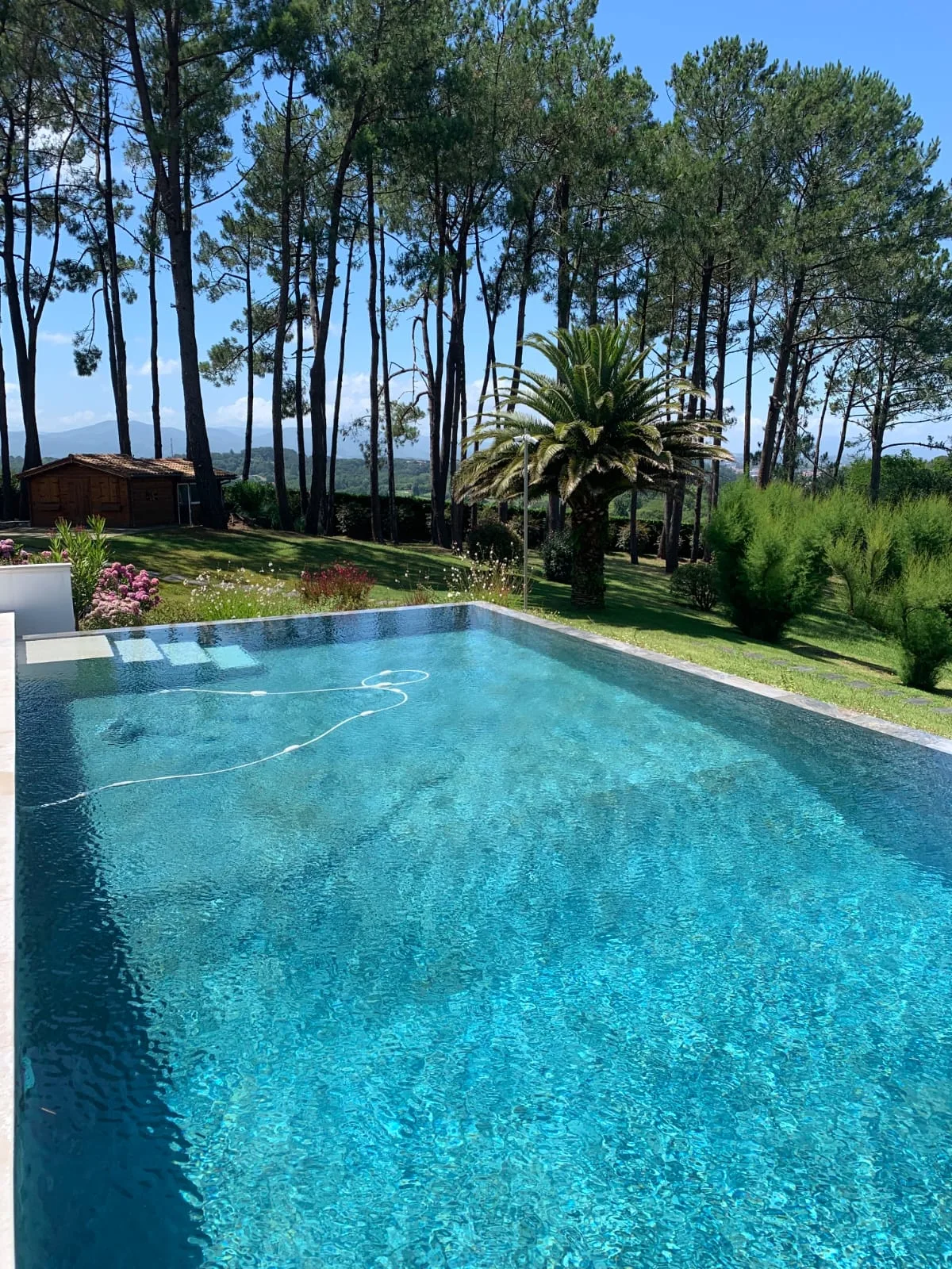 Bassin ouvert sur le paysage et les arbres