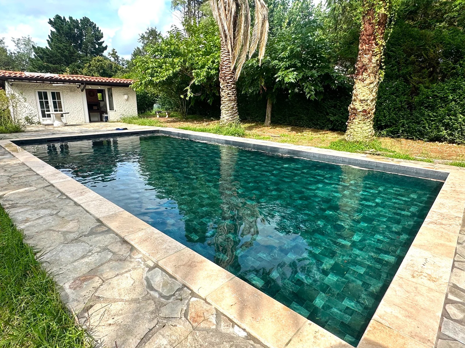 Piscine avec terrasse en pierre, arbres et palmier dans un jardin
